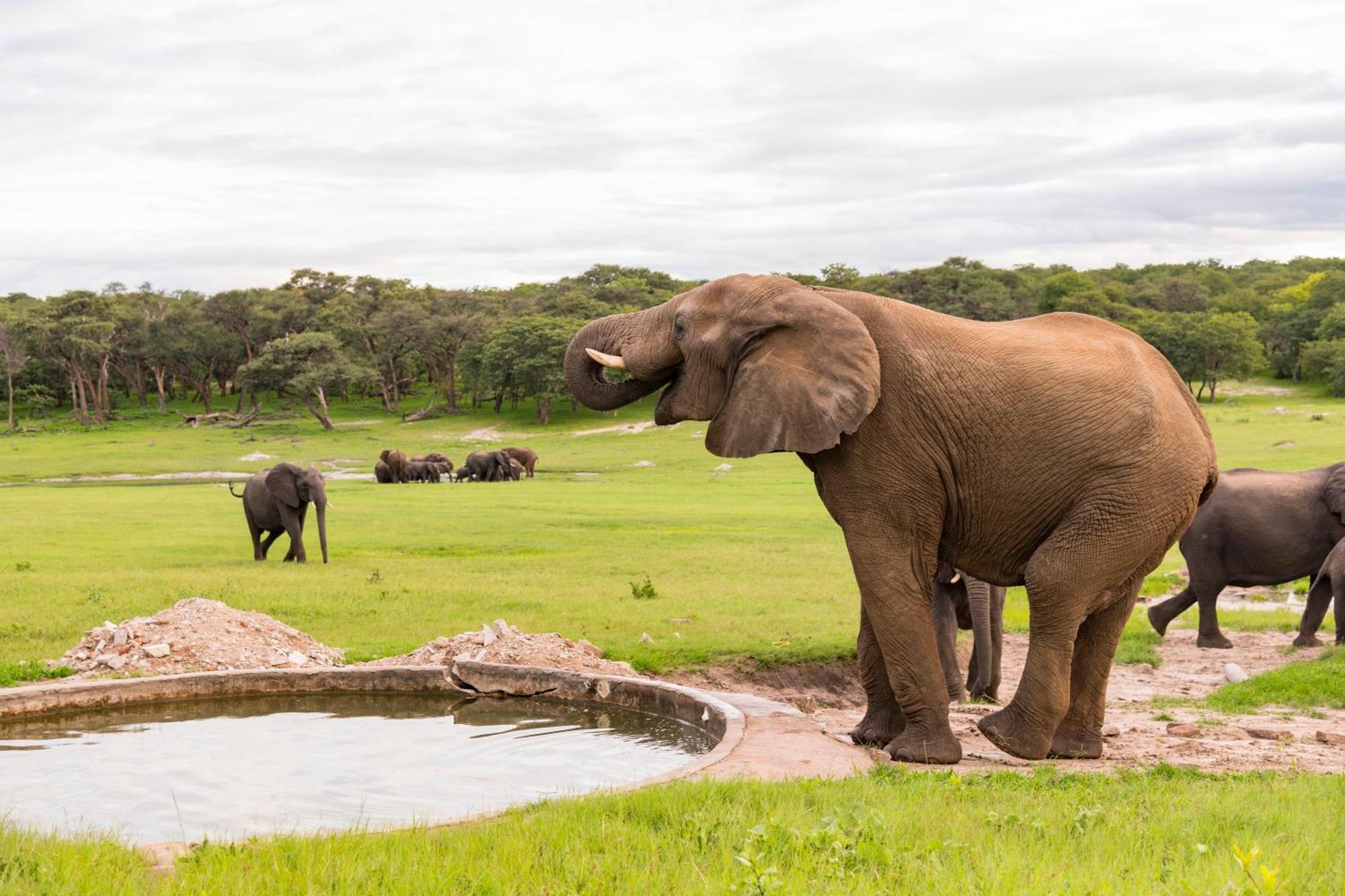 Hwange Safari Lodge Dete Exterior photo