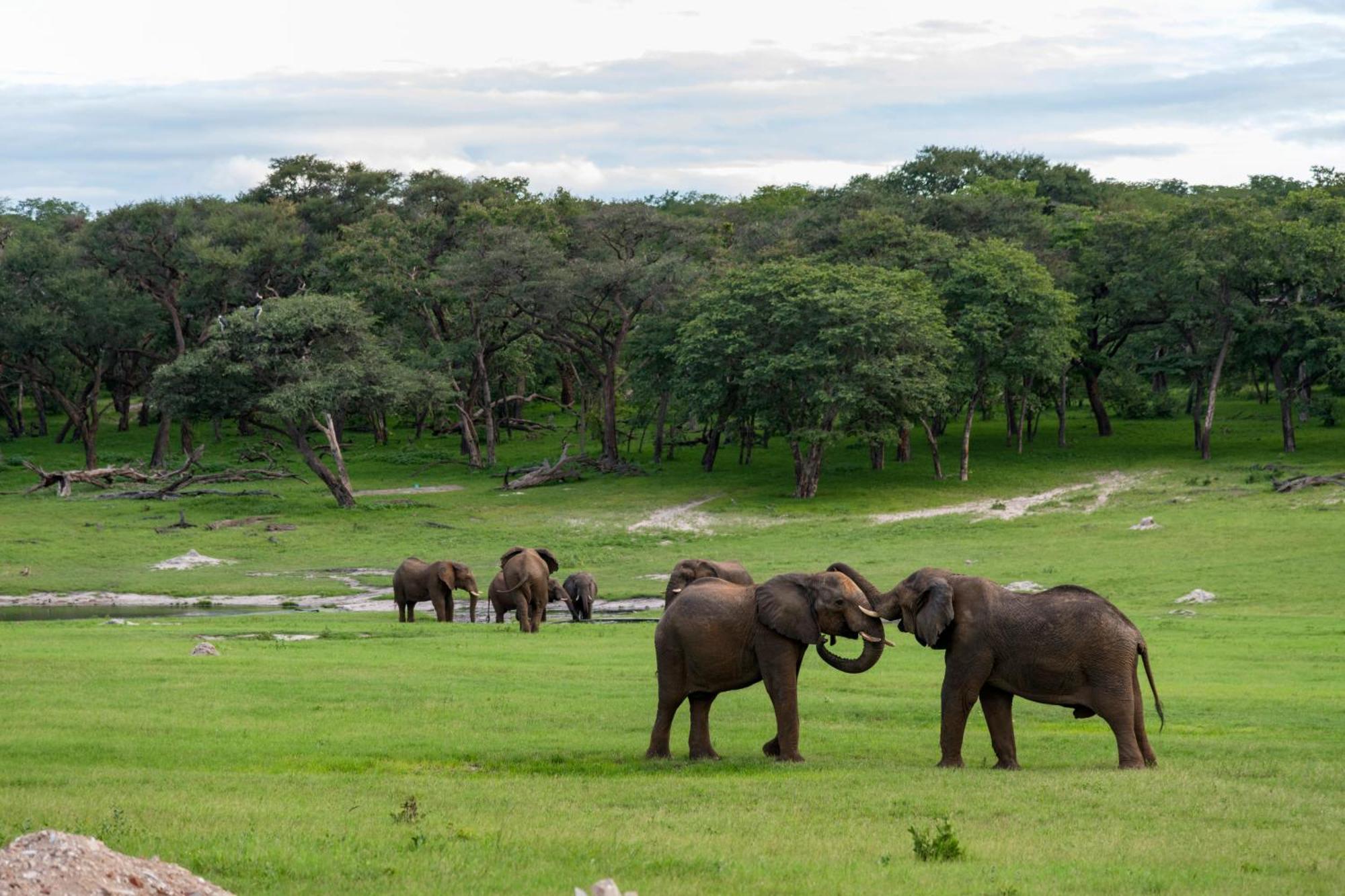 Hwange Safari Lodge Dete Exterior photo